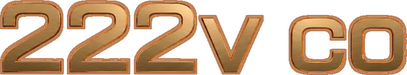 222v co Logo